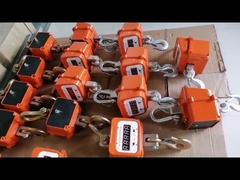 Balança de guindaste digital de 3000 kg